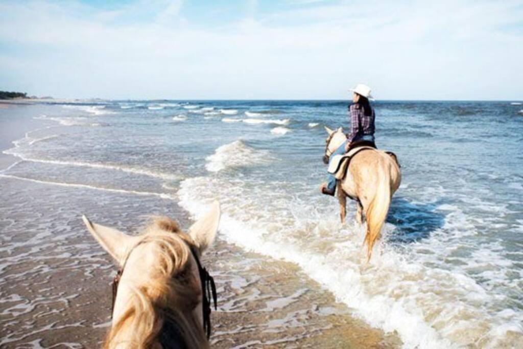 Amelia Island Oceanfront Condo เกาะอมีเลีย ภายนอก รูปภาพ