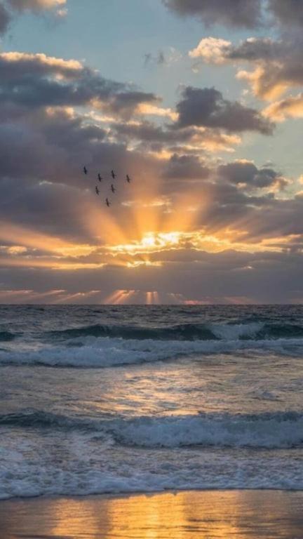 Amelia Island Oceanfront Condo เกาะอมีเลีย ภายนอก รูปภาพ