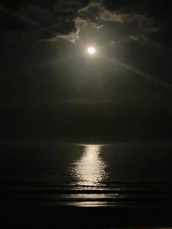 Amelia Island Oceanfront Condo เกาะอมีเลีย ภายนอก รูปภาพ